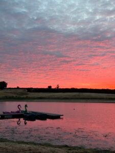 Rutland Bird Boats